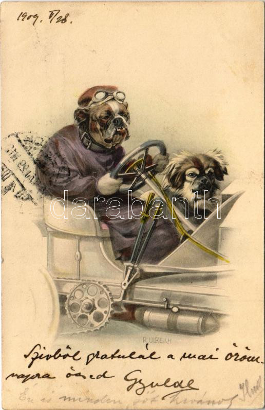 1909 Kutya sofőr / Dog automobile driver. M. M. Nr. 393. s: R. Ulreich