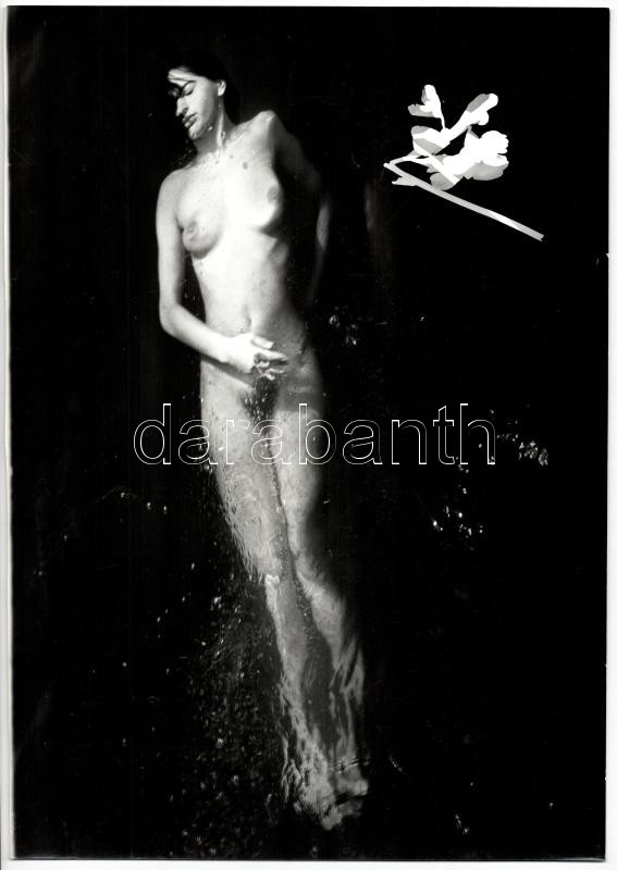 Engi László: A tó tündére (aktfotó cím nélkül), nagyméretű amatőr művészfotó, jelzés nélkül, 40x28,5 cm