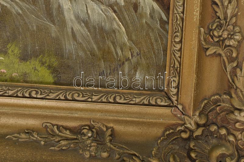 Mednyánszky jelzéssel: Fenyves. Olaj, vászon. Dekoratív, sérült fakeretben. 60x80 cm - Image 2