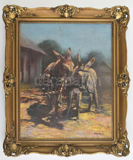Sándor J. jelzéssel: Szamárkordé. Olaj, vászon. Dekoratív fakeretben. 50x40 cm.
