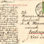 1910 Adony, Dunaadony, Duna-Adony; Pályaudvar, vasútállomás, gőzmozdony, vonat. W.L. 265. (EK) - Image 2