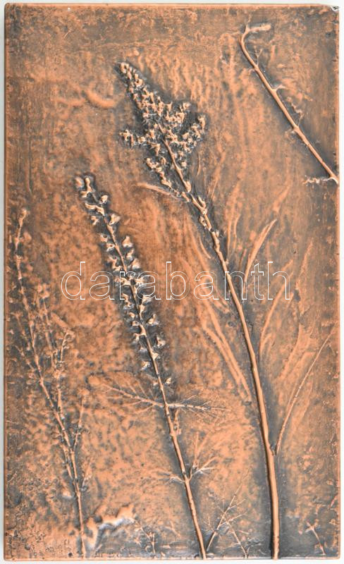 Jelzés nélkül: Retró bronzírozott falikép virágdíszítménnyel. Hibátlan, 25x15 cm