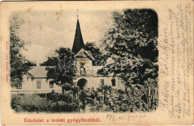 1901 Tenke, Tinca; Tenkei Gyógyfürdő. Lévy Dávid kiadása / spa, bath (fl)