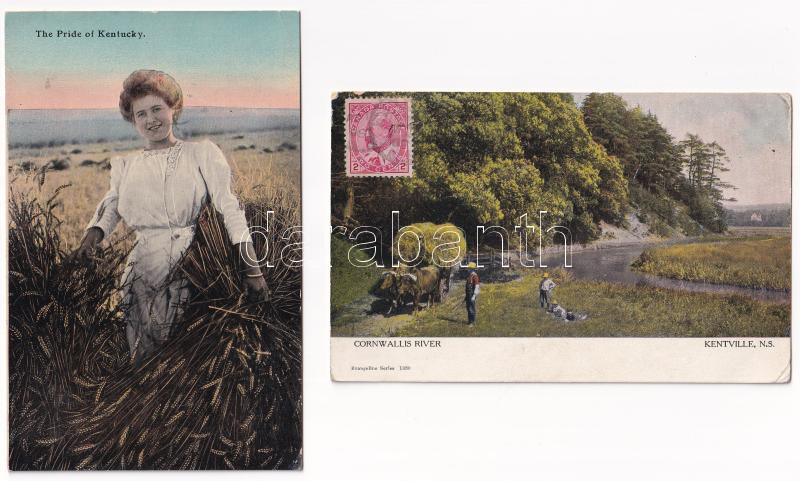 4 db RÉGI folklór motívum képeslap / 4 pre-1945 folklore motive postcards (USA, Canada) - Image 2
