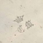 Szelence alpakka XIX. sz. porosz koronával kulcs nélkül 11x7 cm - Image 2