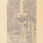 Schadl János (1892-1944): Erdőrészlet. Ceruza, papír, sérült. 42,5x30,5 cm