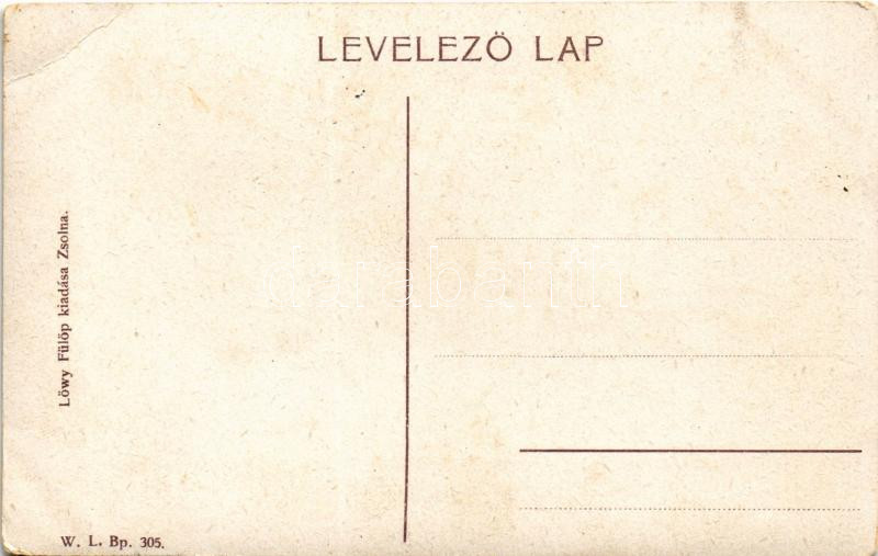 Árvaváralja, Oravsky Podzámok; Árva vára, vasúti híd. W.L. Bp. 305. Löwy Fülöp kiadása / Oravsky hrad / castle, railway bridge (EB) - Image 2