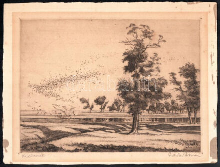 Zádor István (1882-1963):: Vadkacsák. Rézkarc, papír, jelzett, 19×26 cm