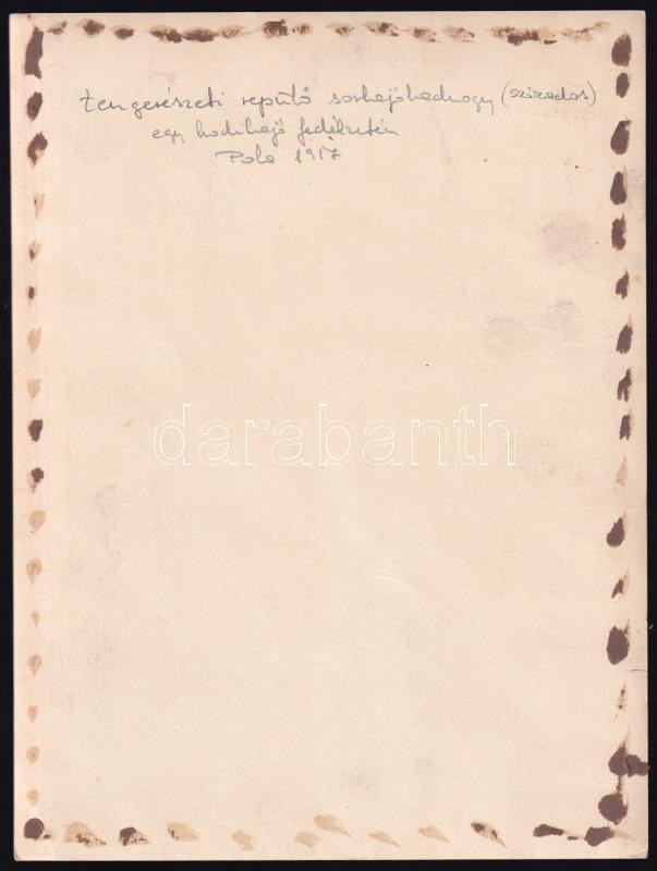 1917 A k.u.k. haditengerészeti repülő sorhajóhadnagy egy cirkáló fedélzetén 23x17 cm - Image 2