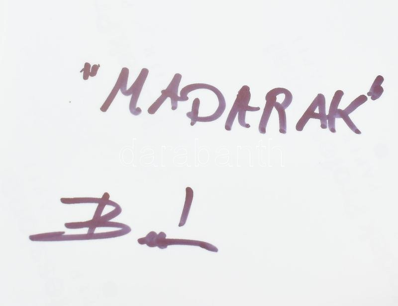 Balás István (1945- ): Madarak. művészi fotóprint, jelzett, 23×30 cm - Image 2