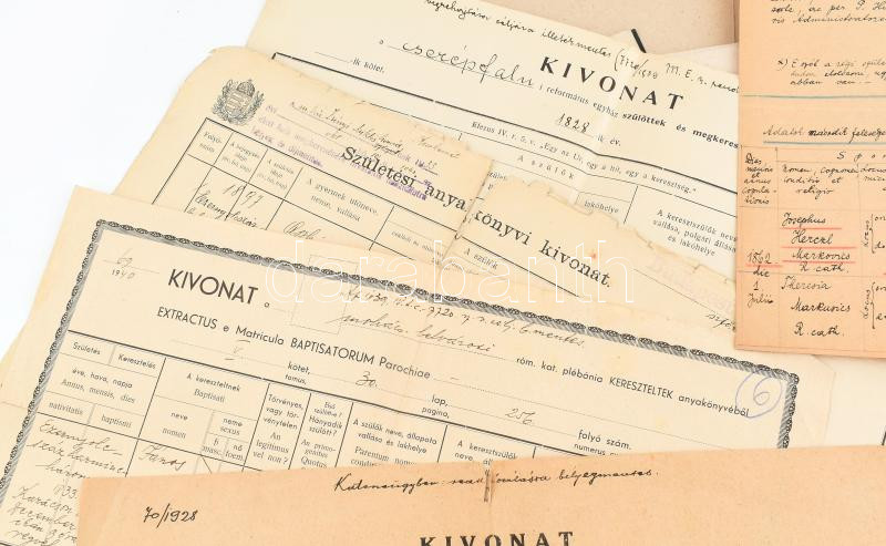cca 1940 Családtörténeti tétel: Egy mappányi vegyes családfa, halotti értesítő és anyakönyvi kivonat - Image 2