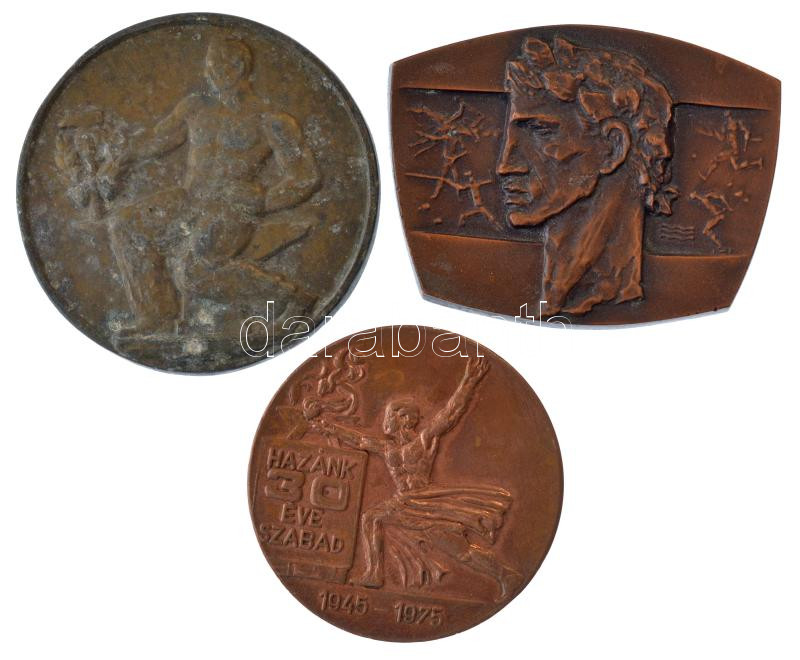6 darabos magyar bronz és fém emlékérem, emlékplakett és díjplakett tétel, közte Peternák Gusztáv (1928-) 1975. 'Komárom megyei Vasas Sportnap / Hazánk 30 éve szabad 1945-1975' kétoldalas bronz emlékérem (60mm) T:1-,2 közte patina