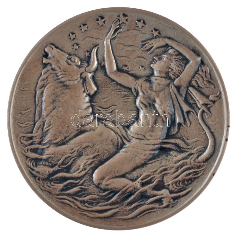 Hollandia / Utrecht (1961.) 'Európai tanács' jelzett Ag kétoldalas emlékérem eredeti tokban (42,65g/0.925/51mm) T:BU Netherlands / Utrecht (1961.) 'Council of Europe' hallmarked Ag two sided commemorative medallion in original case