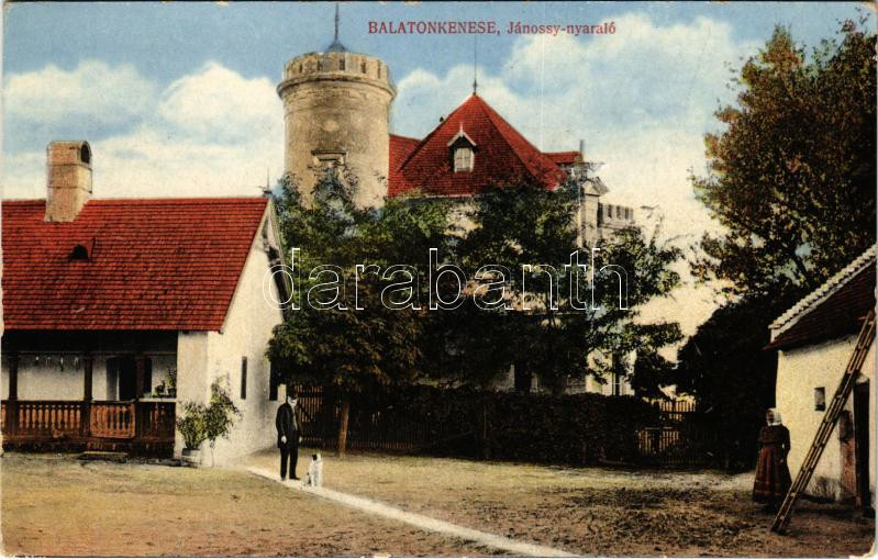 Balatonkenese, Jánossy nyaraló. Rosenthal Dávid kiadása