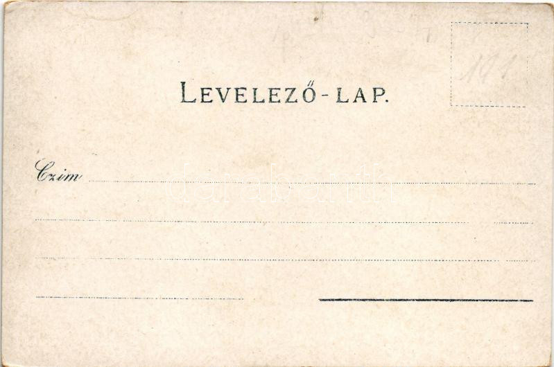 Budapest, Deák szobor, Pest látképe, Lánchíd, címer. Schneider & Lux Art Nouveau, floral, litho (EK) - Image 2