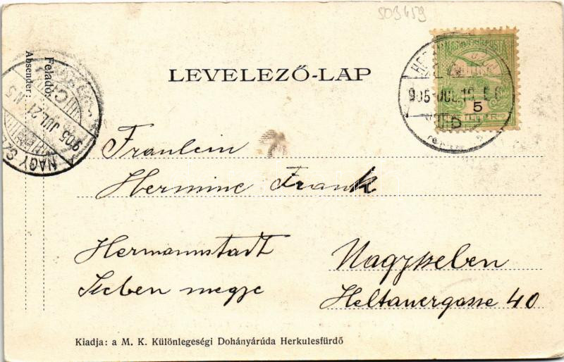 1905 Herkulesfürdő, Herkulesbad, Baile Herculane; Rezső udvar / Rudolfs-Hof / spa, bath, hotel (EK) - Image 2
