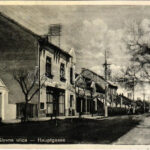 1936 Újverbász, Verbász, Novi Vrbas; Fő utca / Glavna ulica / Hauptgasse / main street (Rb)