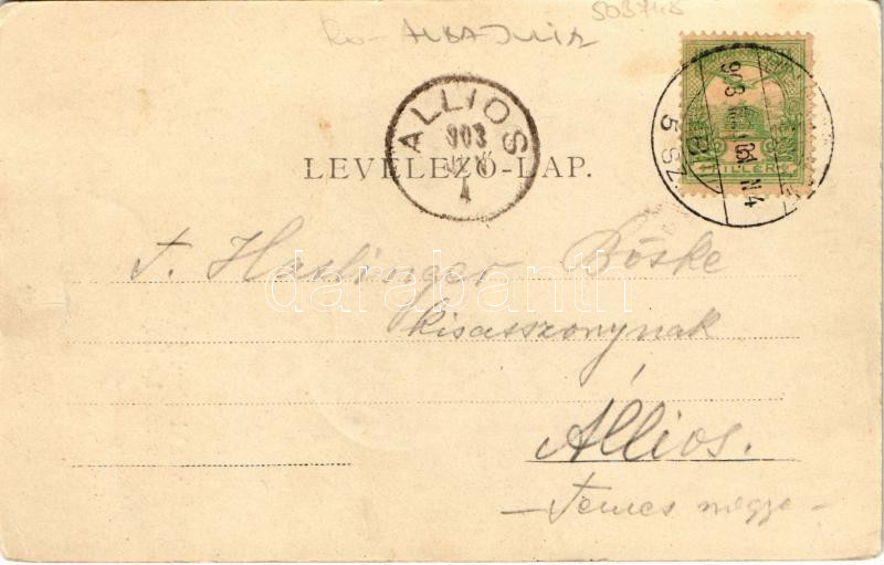 1903 Gyulafehérvár, Karlsburg, Alba Iulia; Károly-kapu / Karlstor / castle gate (EK) - Image 2
