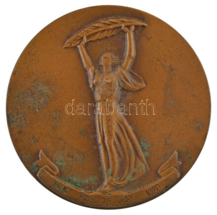 DN 'Szabadság-szobor - 1945-1970' egyoldalas bronz emlékérem (70mm) T:1- patina