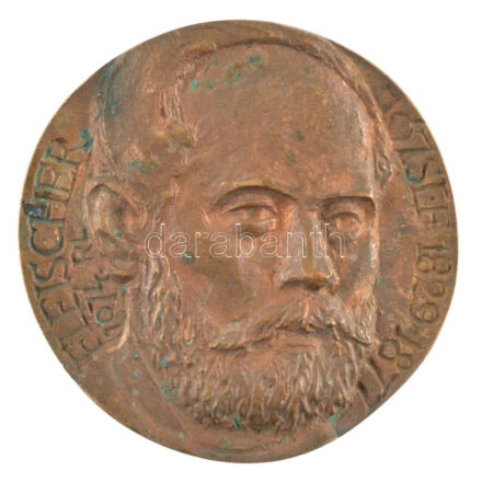 Rajki László (1939-) 1974. 'Fleischer József 1829-1877' egyoldalas bronz emlékérem (65mm) T:1- patina
