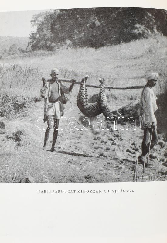 Széchényi Zsigmond: Nahar. Indiai útinapló. . Csui. Afrikai vadásznapló. 1928. október - 1929. április. Bp., 1964-1966., Szépirodalmi. Fekete-fehér fotókkal illusztrált. Kiadói félvászon-kötések, kopott borítókkal. + Molnár - Image 2