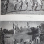 Széchényi Zsigmond: Nahar. Indiai útinapló. . Csui. Afrikai vadásznapló. 1928. október - 1929. április. Bp., 1964-1966., Szépirodalmi. Fekete-fehér fotókkal illusztrált. Kiadói félvászon-kötések, kopott borítókkal. + Molnár - Image 3
