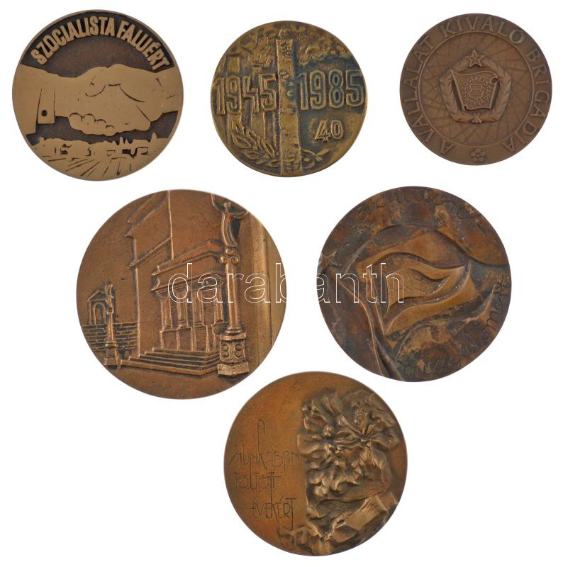 6 darabos szocialista bronz emlékérem tétel, közte 'A vállalat kiváló brigádja', 'Szocialista faluért', 'Az úttörőmozgalomért', 'A munkában töltött évekért' (70-100mm) T:1-,2