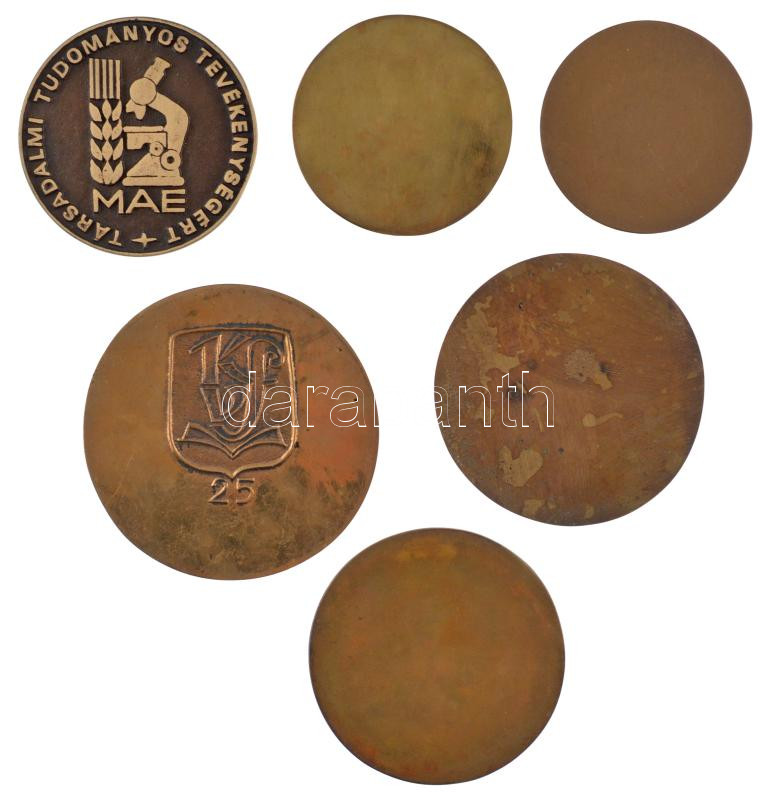 6 darabos szocialista bronz emlékérem tétel, közte 'A vállalat kiváló brigádja', 'Szocialista faluért', 'Az úttörőmozgalomért', 'A munkában töltött évekért' (70-100mm) T:1-,2 - Image 2