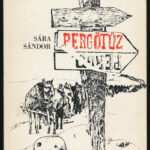 Sára Sándor: Pergőtűz. A 2. magyar hadsereg pusztulása a Donnál. Bp., 1988. Tinódi. Első kiadás. Kiadói papírkötés