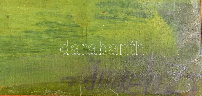 Imreh Zsigmond (1900-1965): Népkert, Miskolc. Olaj, karton, jelzett. Dekoratív fakeretben, 45×56 cm - Image 2