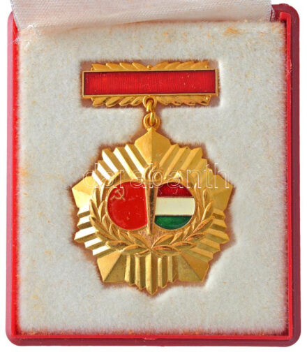 ~1970. 'Magyar-Szovjet Baráti Társaság' műgyantás aranyozott jelvény eredeti tokban (40mm) T:1- karc, a tok műselyem bélése levált, zsanérja eltört
