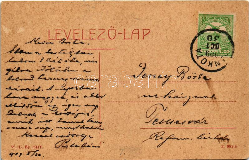 1909 Pankota, Pancota; Dietrich-Sulkowski kastély (Herceg Sulkovsky kastély). W. L. Bp. 5417. / castle (EB) - Image 2