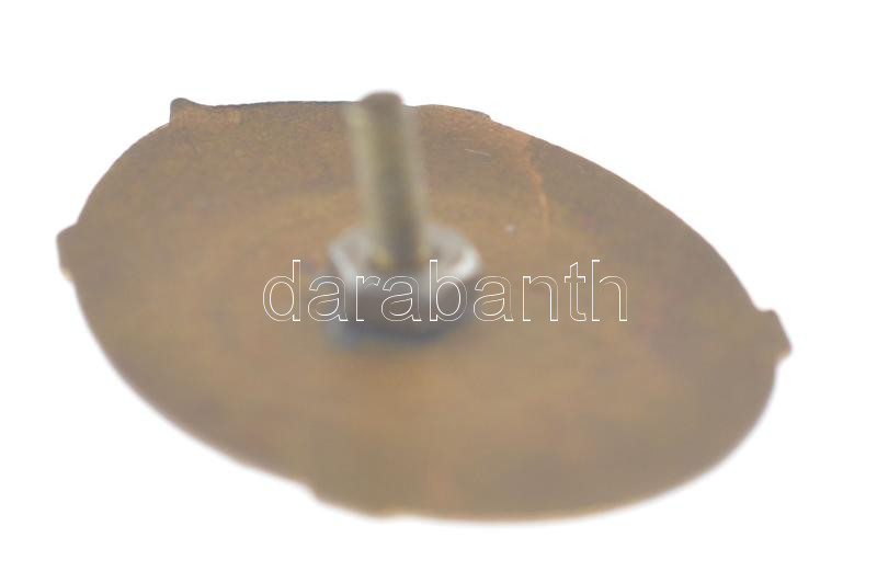 Bulgária ~1950-1960. 'Fiatal úttörő természettudós' zománcozott fém jelvény csavaros hátlappal (35mm) T:2 Bulgaria ~1950-1960. 'Young Pioneer Naturalist' enamelled metal badge with screwback (35mm) C:XF - Image 2