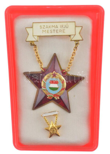 ~1970 'Szakma Ifjú Mestere' műanyag - bronz kompozit kitüntetés műgyantás színezéssel, miniatűrrel, tokban (41x41mm) T:1