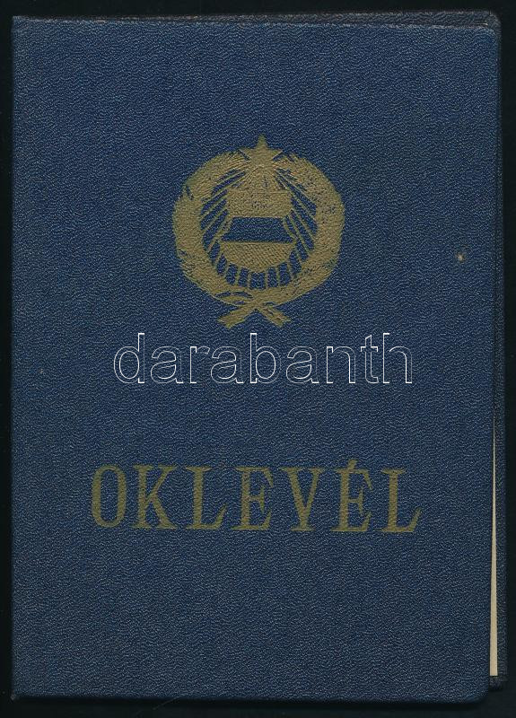 1966 Filozófia oklevél Sándor Pál aláírásával - Image 2