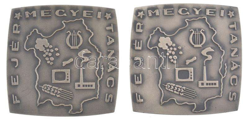 ~1980. 'Fejér megyei tanács' egyoldalas ezüstözött bronz emlékplakett (2x) (70x70mm) T:1-