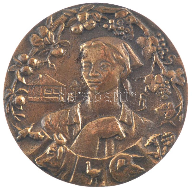 DN 'Falusi élet' egyoldalas bronz emlékérem feloldatlan F.B.(?) szignóval (95mm) T:2