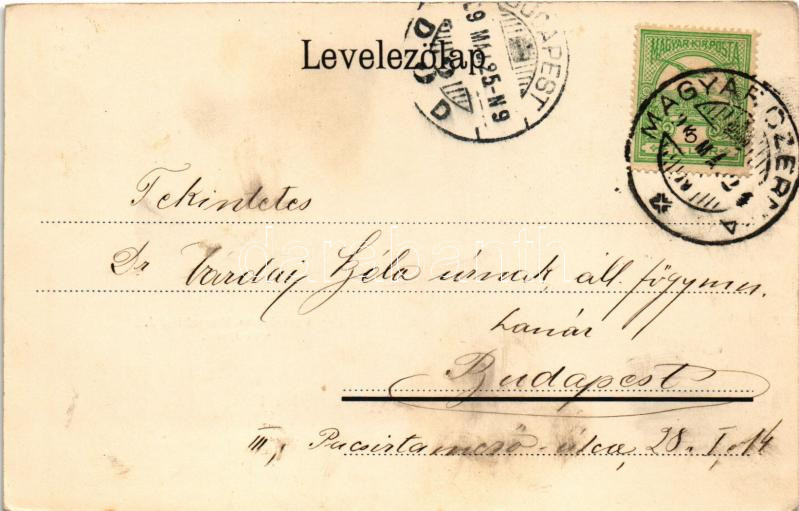 1909 Magyarcsernye, Magyar-Czernye, Nova Crnja; Római katolikus iskola és templom, Községháza, M. kir. postahivatal, Vasútállomás, gőzmozdony, vonat, hajtány, utca, Wersching J. üzlete és saját kiadása / Catholic church and school, - Image 2