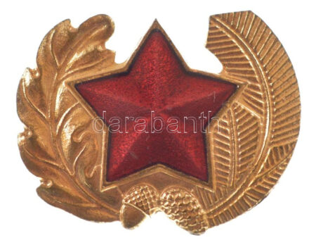 Jugoszlávia ~1980. Jugoszláv fegyveres erők aranyozott, zománcozott tiszti sapkajelvénye, csavaros rögzítés, 'Aurea Celje' gyártói jelzéssel (34x26mm) T:1 Yugoslavia ~1980. Yugoslavian armed forces officers' gilded, enamelled cap