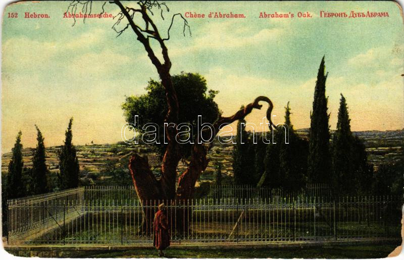 1917 Hebron, Abraham's Oak + 'Feldpost Mil. MIss. Jerusalem' (EK)