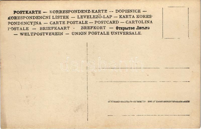 Drassó, Drasov; Teleki kastély, kert részlet / castle, park. photo - Image 2