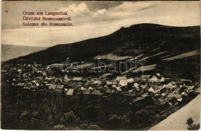 1913 Hosszúaszó, Langenthal, Hosszuszeo, Valea Lunga; látkép. Hirsch József kiadása / general view (vágott / cut)