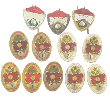 1962-1984. 'A Magyar Néphadsereg kitüntető jelvényei' 12 darabos festett és műgyantás sapkajelvény tétel, közte 'Élenjáró szakaszparancsnok','Élenjáró növendék','Kiváló katona','Egység Bajnokság' T:1-2 műgyanta hiány