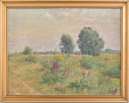 Szontágh Tibor (1873-1930): Sajópart. Olaj, karton, jelzett. Dekoratív fakeretben. 34×46 cm.