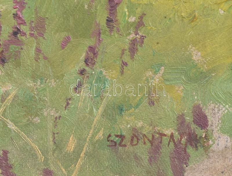 Szontágh Tibor (1873-1930): Sajópart. Olaj, karton, jelzett. Dekoratív fakeretben. 34×46 cm. - Image 2