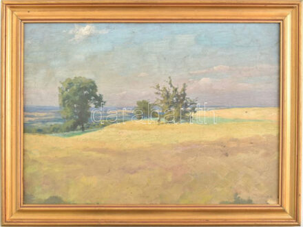 Szontágh Tibor (1873-1930): Dombos táj (kétoldalas mű, hátoldalán napos tájrészlet). Olaj, karton, jelzett. Dekoratív fakeretben. 33×46 cm.
