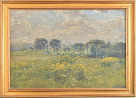 Szontágh Tibor (1873-1930): Napfényes táj. Olaj, karton, jelzett. Dekoratív fakeretben. 34×47 cm.