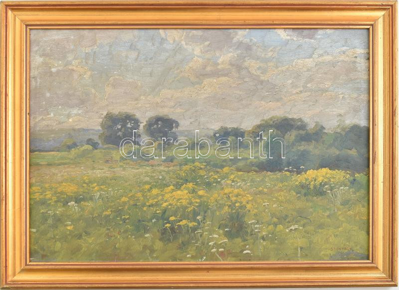 Szontágh Tibor (1873-1930): Napfényes táj. Olaj, karton, jelzett. Dekoratív fakeretben. 34×47 cm.