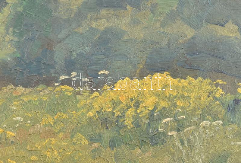 Szontágh Tibor (1873-1930): Napfényes táj. Olaj, karton, jelzett. Dekoratív fakeretben. 34×47 cm. - Image 2