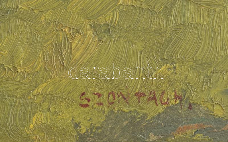 Szontágh Tibor (1873-1930): Napfényes táj. Olaj, karton, jelzett. Dekoratív fakeretben. 34×47 cm. - Image 3